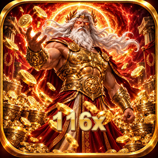116X